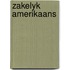 Zakelyk amerikaans