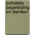 Schakels begeleiding en wenken