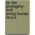 On the phylogeny and ontog.human larynx