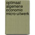 Optimaal algemene economie micro-uitwerk