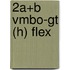 2a+b vmbo-gt (h) flex