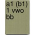 A1 (B1) 1 vwo bb
