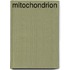 Mitochondrion