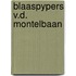 Blaaspypers v.d. montelbaan