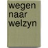 Wegen naar welzyn