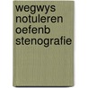 Wegwys notuleren oefenb stenografie door Haar Kruize