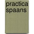 Practica Spaans
