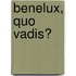 Benelux, quo vadis?
