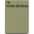 1B vmbo-bk/lwoo