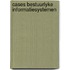 Cases bestuurlyke informatiesystemen