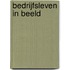 Bedrijfsleven in beeld