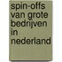 Spin-offs van grote bedrijven in Nederland