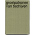 Groeipatronen van bedrijven