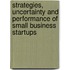 Strategies, uncertainty and performance of small business startups