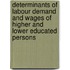 Determinants of labour demand and wages of higher and lower educated persons