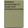 Between economies of scale and entrepreneurship by A.R. Thurik