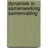 Dynamiek in samenwerking samenvatting by Pleyster