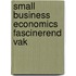 Small business economics fascinerend vak
