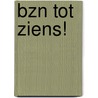 BZN tot Ziens! by P. Visser