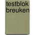 Testblok breuken