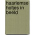 Haarlemse Hofjes in beeld