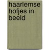 Haarlemse Hofjes in beeld by M. Dijkstra