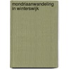 Mondriaanwandeling in Winterswijk door W. Scholtz