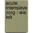 Acute Intensieve Zorg : wie telt