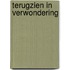 Terugzien in verwondering