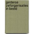 Gelderse zelforganisaties in beeld