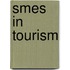 Smes in tourism