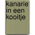 Kanarie in een kooitje