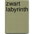 Zwart Labyrinth