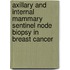 Axillary and internal mammary sentinel node biopsy in breast cancer