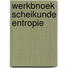 Werkbnoek scheikunde entropie door Storm Leeuwen