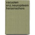 Vacuolen enz.neuropileem hersenschors