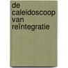 De caleidoscoop van reïntegratie door P. van Eekert