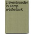 Ziekenbroeder in Kamp Westerbork