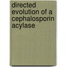 Directed evolution of a cephalosporin acylase by L.G. Otten