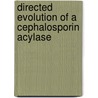 Directed evolution of a cephalosporin acylase door L.G. Otten