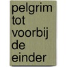 Pelgrim tot voorbij de einder by P. Kusters