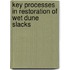 Key processes in restoration of wet dune slacks