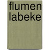 Flumen Labeke door A. Landman