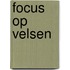 Focus op Velsen