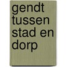 Gendt tussen stad en dorp by Y. de Boer-Ravestein