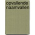 Opvallende naamvallen