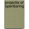 Projectie of openbaring by Roeleveld