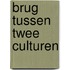 Brug tussen twee culturen