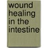 Wound healing in the intestine
