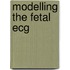 Modelling the fetal ecg